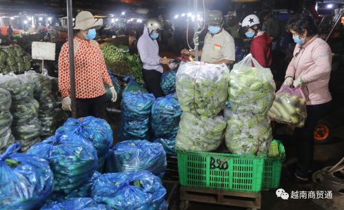 胡志明紧急关闭多个大型农贸批发市场,病毒已经开始四处蔓延 西贡告急